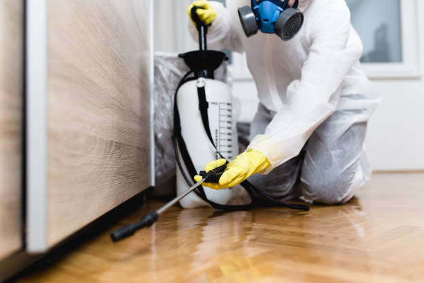 Best Commercial Pest Control Services  in Chester Heights, PA