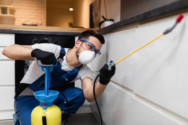 Best Wasp Removal Services  in Chester Heights, PA
