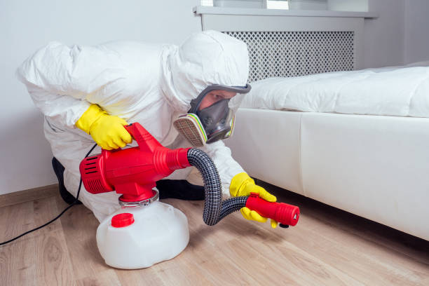 Best Local Pest Control Services  in Chester Heights, PA
