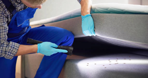 Best Pest Control Treatment  in Chester Heights, PA