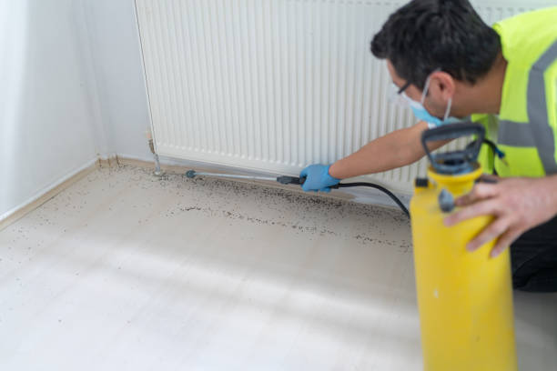 Best Cockroach Control Services  in Chester Heights, PA
